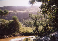 landscape near Lokaro