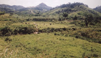 landscape between Manakara and Fianarantsoa