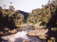 Ranomafana river